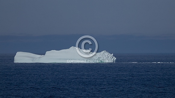 Icebergs at Newfoundland