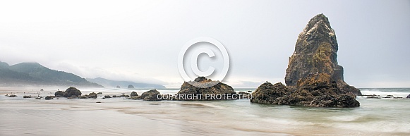 Pacific Northwest Seascape