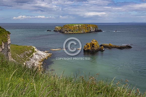 Sheep Island - Ballintoy - Northern Island