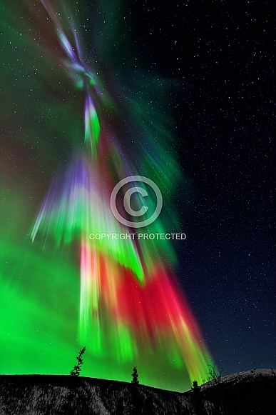 Alaska Aurora