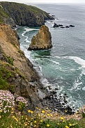 Copper Coast - Wild Atlantic Way - Ireland