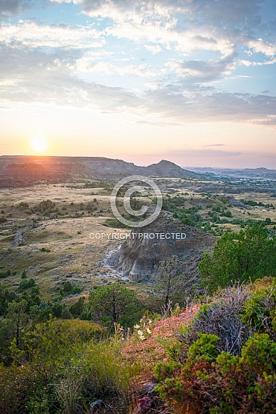 Theodore Roosevelt National Park