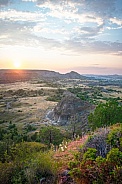 Theodore Roosevelt National Park