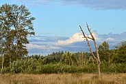 Wildlife Refuge landscape