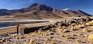 Miscanti Volcano and Lagoon - Atacama Desert