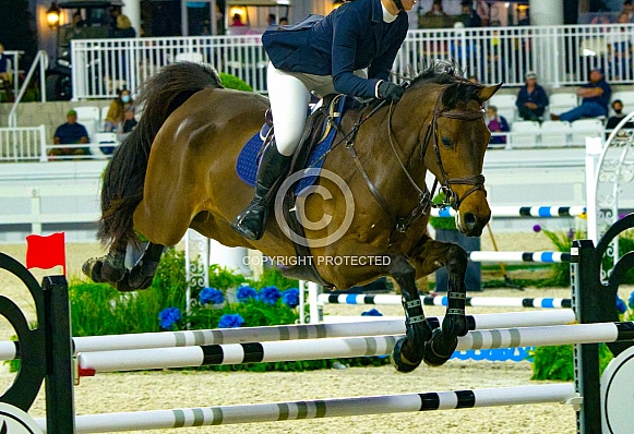 Equestrian Sports, Horse jumping Show Jumping competition Horse Riding themed photo view of female riding chestnut brown horse while jumping over hurdle during a free event