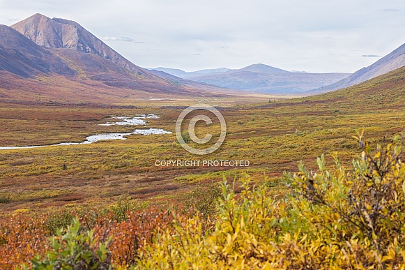 Autumn Colors in the Wilderness of Denali Highway, Alaska Autumn Colors in the Wilderness of Denali Highway, Alaska