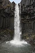 Basalt columns - Svartifoss Waterfall - Iceland