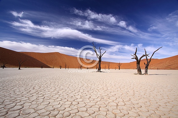 Sossusvlei  Deadvlei, Namibia