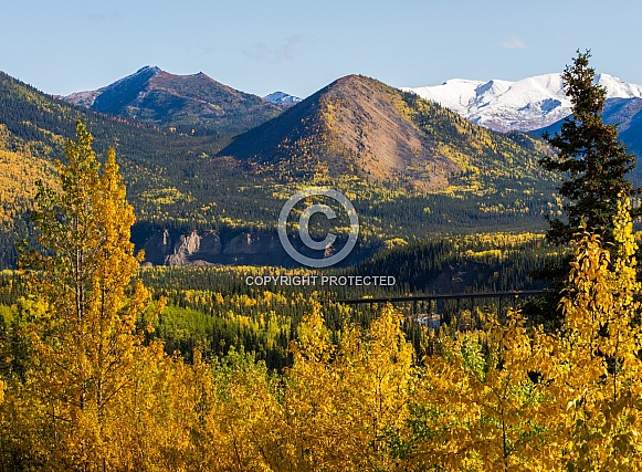 Autumn Landscape at Denali National Park, Alaska