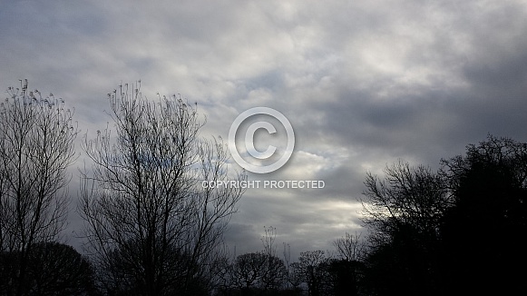 Skyscape/Clouds. This photo is free to download. As artists, we sometimes find ourselves needing reference material for skies or cloud formations, so hopefully these may be of use. Skyscape/Clouds. This photo is free to download. As artists, we sometimes find ourselves needing reference material for skies or cloud formations, so hopefully these may be of use.