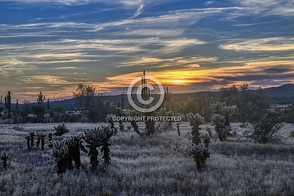 Setting sun in the Arizona desert