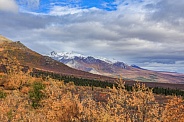 Scenic Viewpoint of Denali National Park Alaska