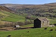 Wenslydale in the Yorkshire Dales - England
