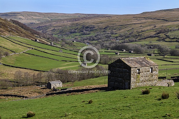 Wenslydale in the Yorkshire Dales - England