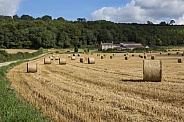 Yorkshire countryside at harvest time - England