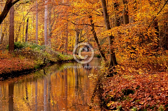Autumn Landscape