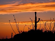 Beautiful Arizona at Sunset