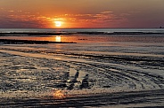Sunset at low tide