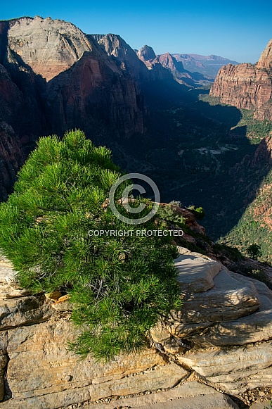 Zion National Park, Utah