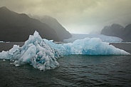 Floating sea ice near the San Rafael Glacier - Chile - South America