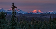 Denali in the early morning light