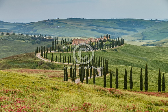Tuscany Italy Tuscany Italy