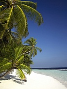 Coral island - Maldives