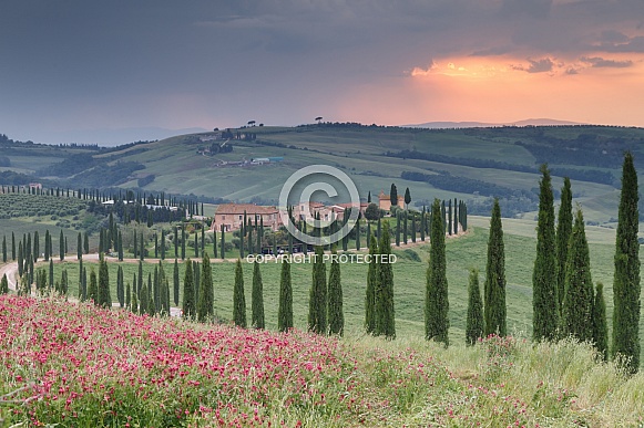 Tuscany Italy Tuscany Italy