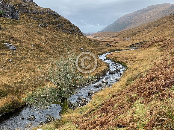 Glen Shieldaig - Highlands of Scotland Glen Shieldaig - Highlands of Scotland