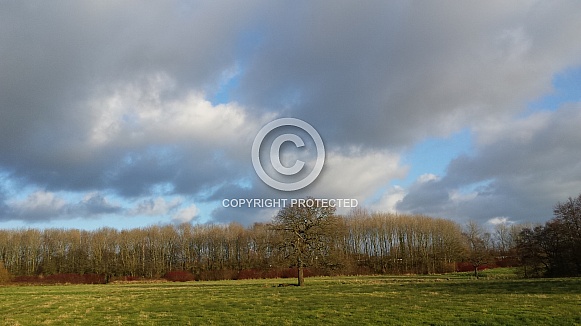 Skyscape/Clouds. This photo is free to download. As artists, we sometimes find ourselves needing reference material for skies or cloud formations, so hopefully these may be of use. Skyscape/Clouds. This photo is free to download. As artists, we sometimes find ourselves needing reference material for skies or cloud formations, so hopefully these may be of use.