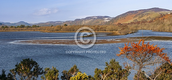 Loch Fleet - Scotland