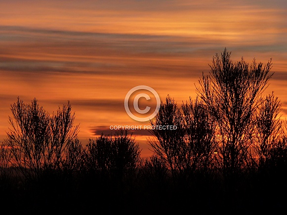 Fiery Sunset