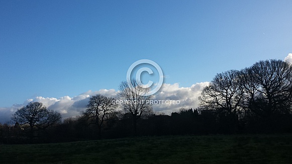 Skyscape/Clouds. This photo is free to download. As artists, we sometimes find ourselves needing reference material for skies or cloud formations, so hopefully these may be of use. Skyscape/Clouds. This photo is free to download. As artists, we sometimes find ourselves needing reference material for skies or cloud formations, so hopefully these may be of use.
