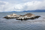 Beagle Channel - Tierra del Fuego - Argentina