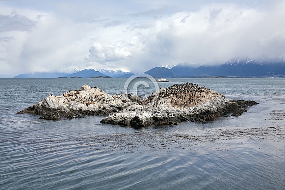 Beagle Channel - Tierra del Fuego - Argentina