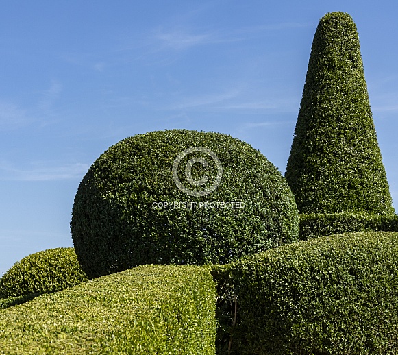 Topiary Garden Topiary Garden