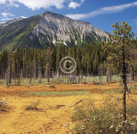 Paint Pots - Kootenay National Park - Canada Paint Pots - Kootenay National Park - Canada