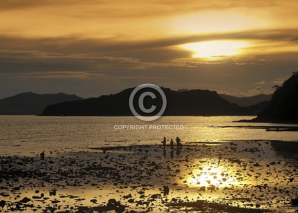 Low tide in Phangnga Bay - Thailand Low tide in Phangnga Bay - Thailand