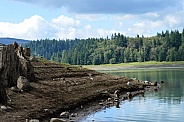 Alder Lake