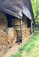 Hay for the Winter