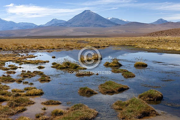 Atacama Desert region of northern Chile Atacama Desert region of northern Chile