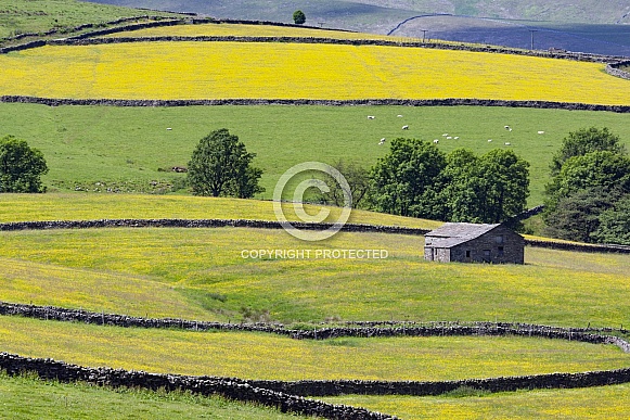 Yorkshire Dales Yorkshire Dales