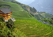 Longsheng Rice Terraces - China