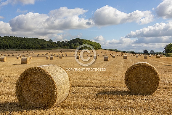 Farmland at harvest time - England