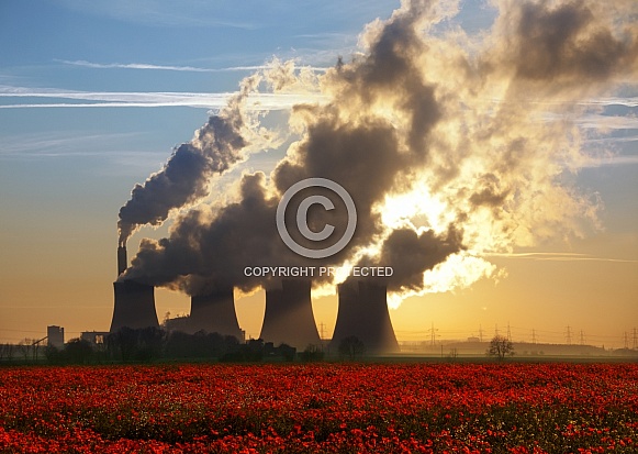 Poppy field and Power Station