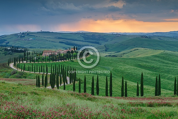 Tuscany Italy Tuscany Italy
