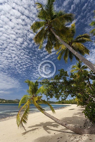 Fiji - South Pacific Fiji - South Pacific
