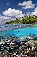 Cook Islands - South Pacific Ocean