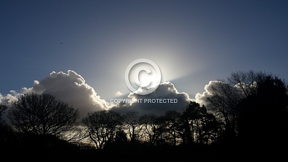Skyscape/Clouds. This photo is free to download. As artists, we sometimes find ourselves needing reference material for skies or cloud formations, so hopefully these may be of use. Skyscape/Clouds. This photo is free to download. As artists, we sometimes find ourselves needing reference material for skies or cloud formations, so hopefully these may be of use.